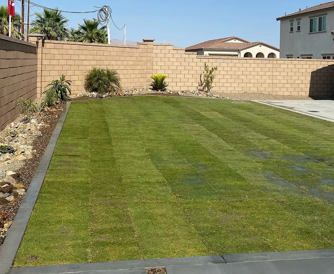 backyard-residential-landscape-installation-13-ultimate-pro-landscaping-coachella-valley 1