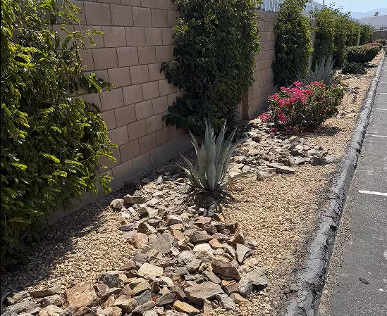 custom-landscape-design-rocks-and-small-plants-and-ficus-on-wall-ultimate-pro-landscaping-coachella-valley-1