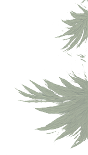 grass