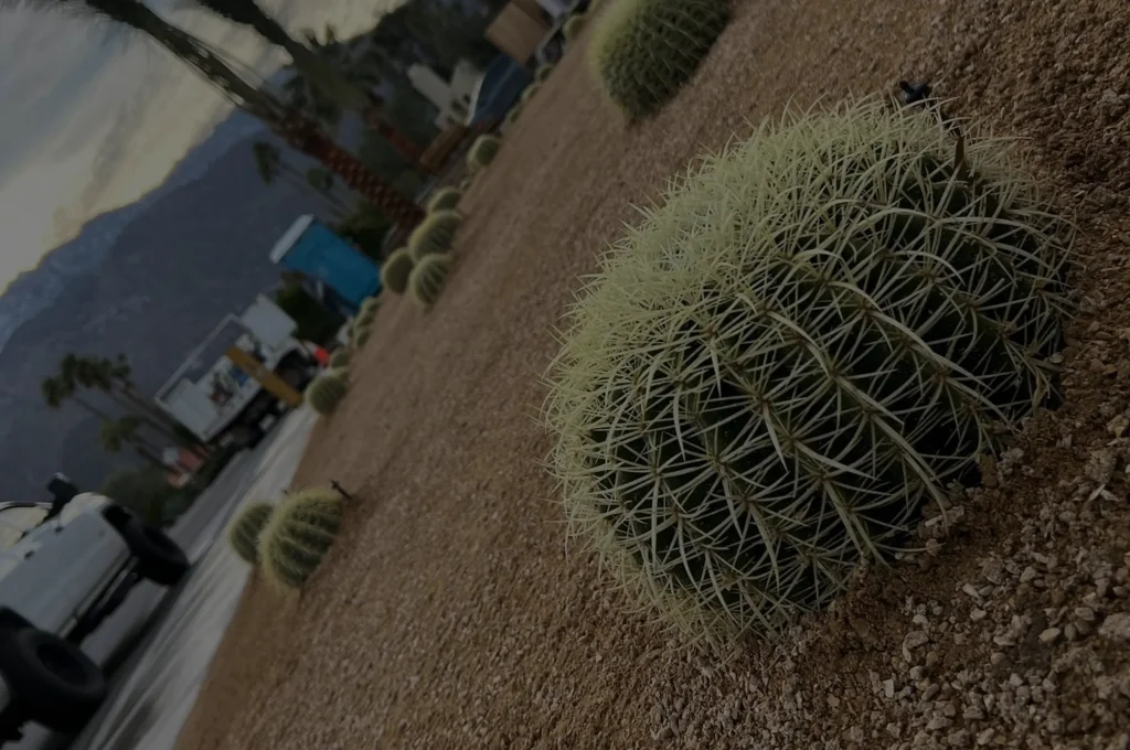 front-yard-low-maintenance-desert-landscape-design-landsaper-ultimate-pro-landscaping-coachella-valley 2