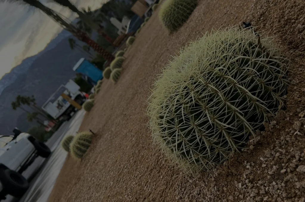 front-yard-low-maintenance-desert-landscape-design-landsaper-ultimate-pro-landscaping-coachella-valley 2